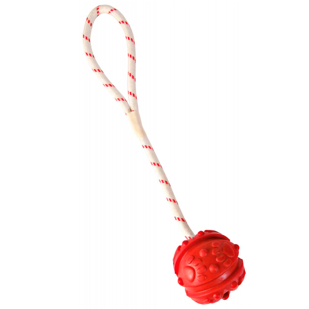 AQUA TOY - BOLA COM CORDA PARA LANÇAMENTOS VERMELHA